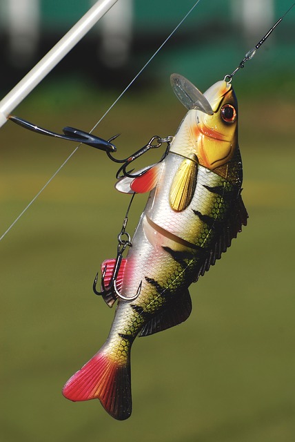 lure-g0e8fe0d45_640